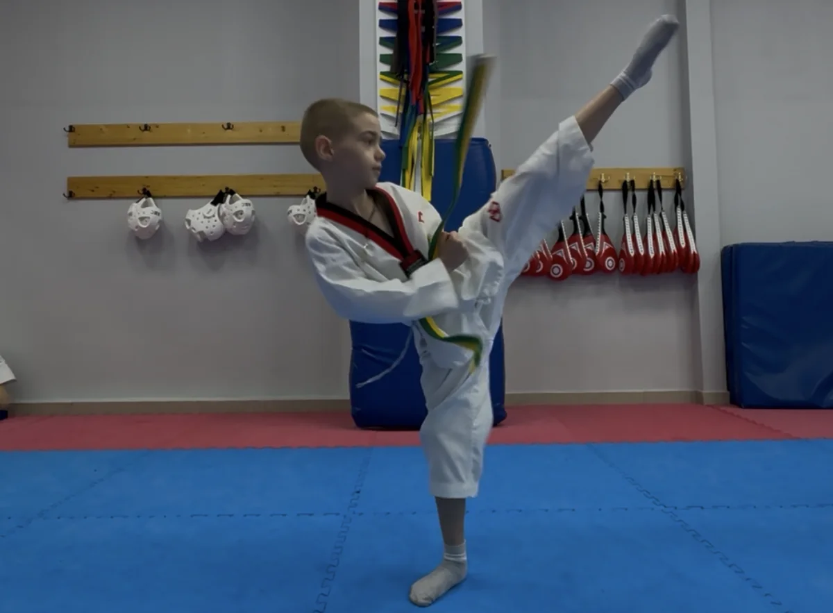 Базовая техника ударов ногами в тхэквондо